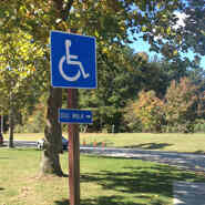 Handicapped Dog Walk